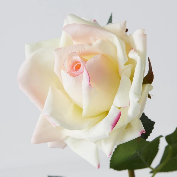 Real Touch Open Rose Spray - Set Of 3 - Image 2