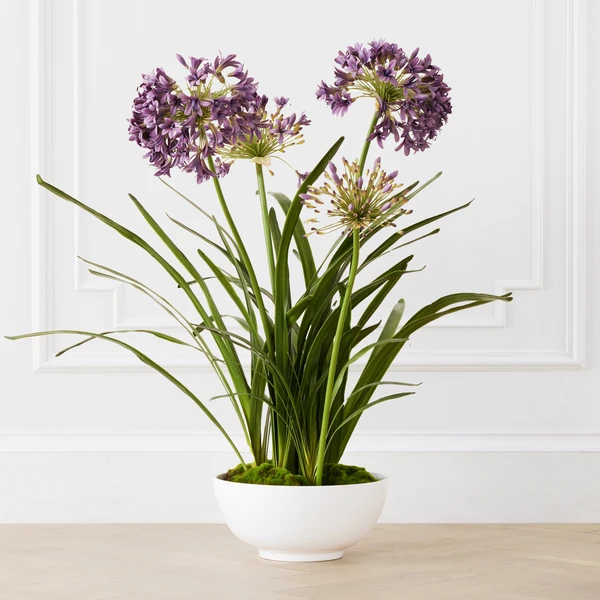 Faux Potted Agapanthus