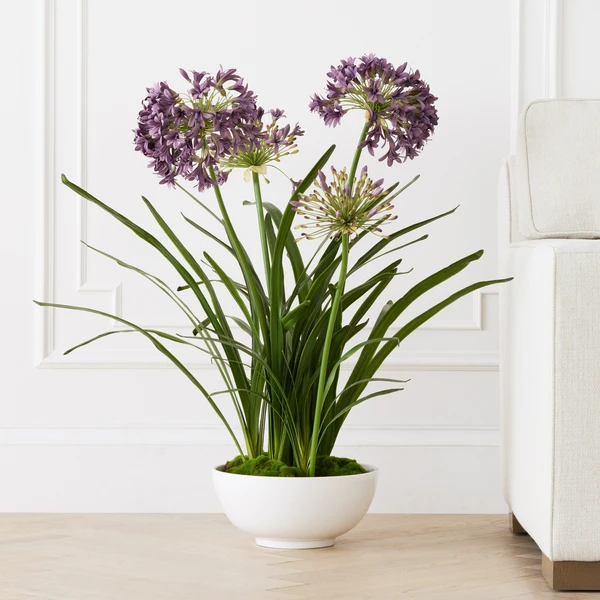 Faux Potted Agapanthus - Image 2
