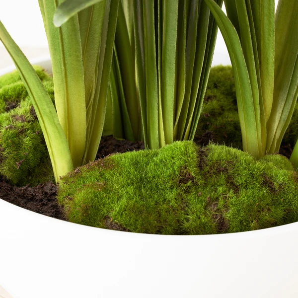 Faux Potted Agapanthus - Image 4