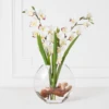 Cymbidium In Glass Vase