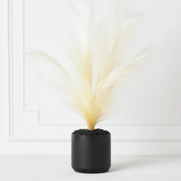 Plume In Kendall Pot