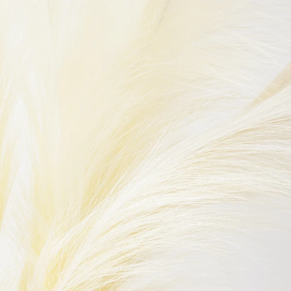 Plume In Kendall Pot - Image 2