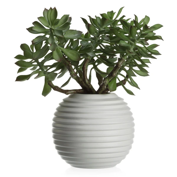 Faux Sedum Succulent Pick - Set Of 3