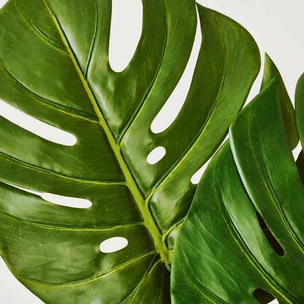 Faux Small Split Philo Leaf - Set Of 3 - Image 3